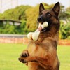 Tikaton Dog Chew Toys for Aggressive Chewers, Peanut Butter Flavor