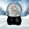 San Francisco Music Box Swan Lake Ballet Water Globe San