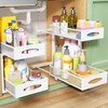 Under Sink Organizer, 2 Tier Pull out Cabinet Organizer Baskets