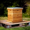 beeknows 10 Frame Langstroth Beehive Kit Dipped in 100% Beeswax