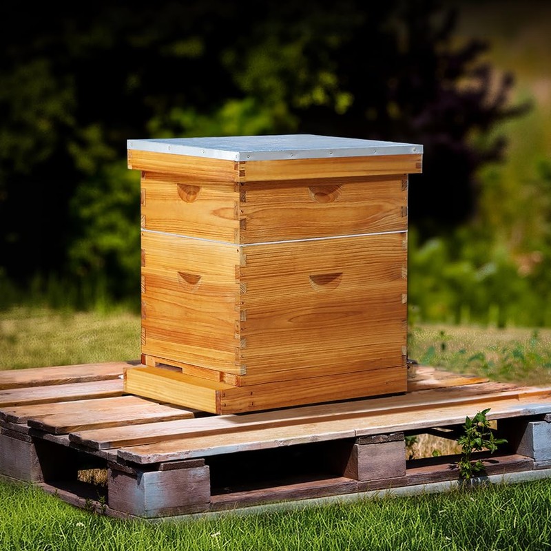 beeknows 10 Frame Langstroth Beehive Kit Dipped in 100% Beeswax
