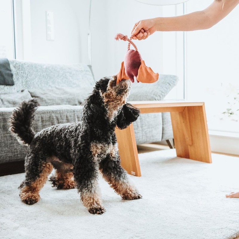 HUNTER Dog Toy Rio Colour Sloth Size 30 cm