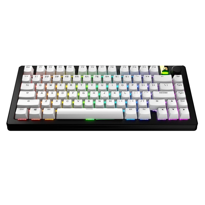 Glorious Gaming - GPBT Basics (PBT Keycaps), Classic White, No
