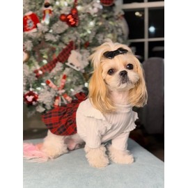 Fitwarm Knitted Dog Plaid Sweater Dress, Dog Christmas Outfit, Winter Dog Clothes for Small Dogs Girl, Pet Cat Apparel, White, Red, Small