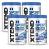 Extend Sports BCAA Powder Blue Raspberry 345g, 4 pieces / 익스텐드 스포츠 BCAA 파우더 블루 라즈베리 345g, 4개