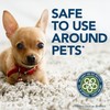 Simple Solution Oxy Charged Pet Stain and Odor Remover, Eliminates