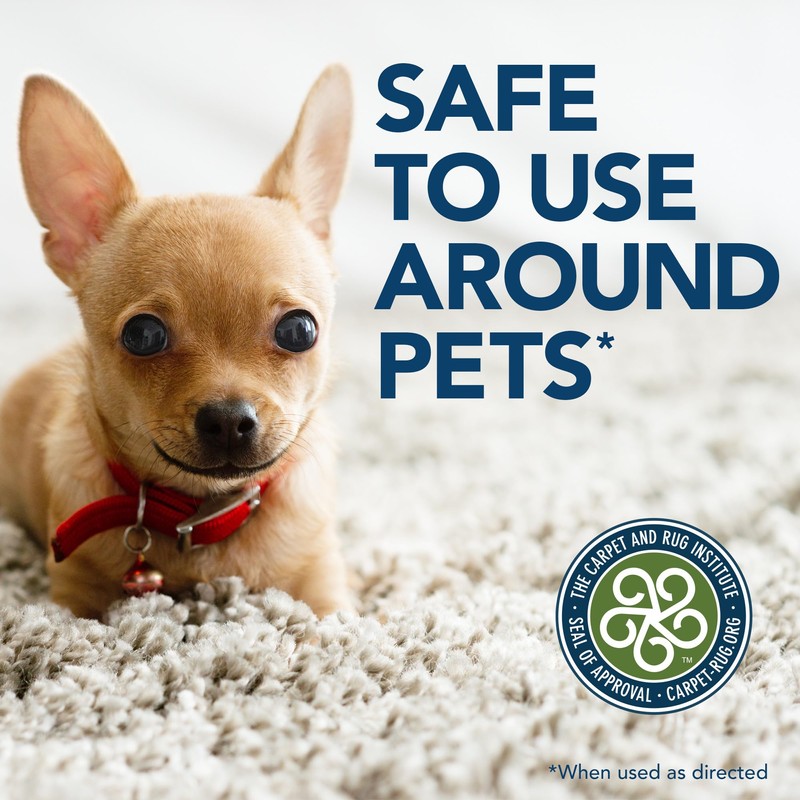 Simple Solution Oxy Charged Pet Stain and Odor Remover, Eliminates