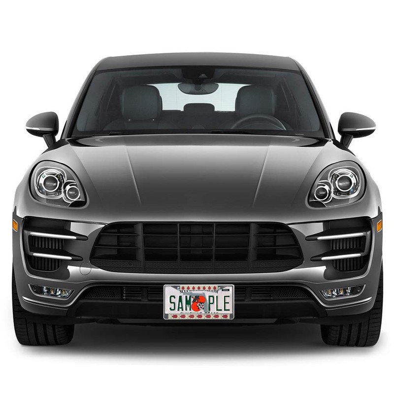 Fastasticdeals Metal Insert License Plate Frame Set of Red Ladybugs