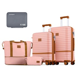 Joyway Carry on 20Inch &24 Inch Checked Luggage Set, 2-Piece Expandable Suitecase Set with Spinner Wheel, Hard Shell Suitcase with TSA Lock(Pink)