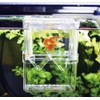 LaMignonne Multi-functional Fish Breeding Isolation Box Aquarium Hatching Spawning Box