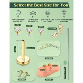 Morfetto 16/18G Nose Stud for Men and Women - 14k Gold Plated Internally Threaded Flat Back Earrings, Stainless Steel, Cubic Zirconia