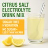 Electrolyte Drink Mix Hydration Packets: 1000mg Sodium, Potassium & Magnesium