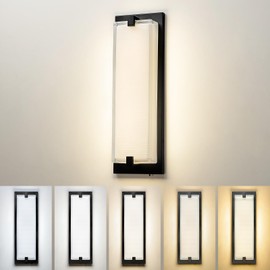 zeyu LED Indoor Wall Sconce, 20W Modern Dimmable Wall Mount Light for Hallway, 5CCT Adjustable 3000K/3500K/4000K/5000K/6500K, Black Finish with Clear Glass Shade, ZTH100B-LED BK