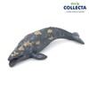 Collecta Terrarium Mini Gray Whale Marine Animal Figure Miniature Diorama Props / 컬렉타 테라리움 미니 귀신 고래 해양바다동물생물 피규어 미니어처 디오라마 소품