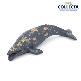 Collecta Terrarium Mini Gray Whale Marine Animal Figure Miniature Diorama Props / 컬렉타 테라리움 미니 귀신 고래 해양바다동물생물 피규어 미니어처 디오라마 소품