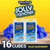 Jolly Rancher Blue Raspberry Scented Wax Melts - 5oz Candy