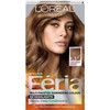 L'Oreal Paris Feria Multi-Faceted Shimmering Permanent Hair Color, 63 Sparkling