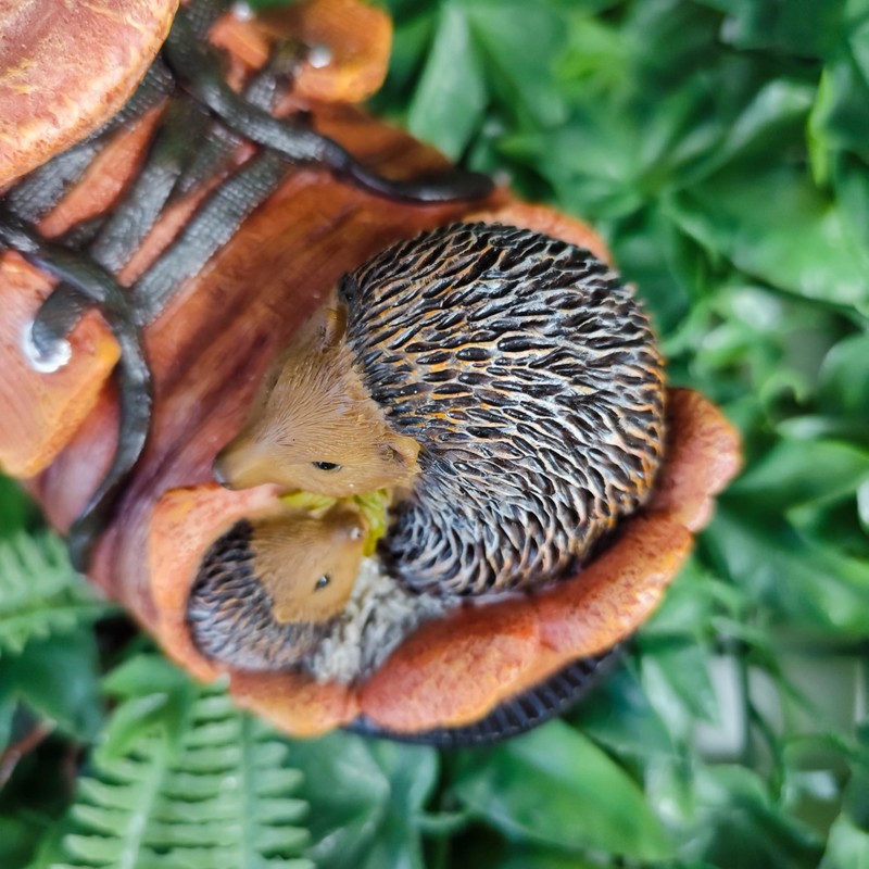 Hedgehog Boot Planter by Vivid Arts size D