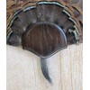 The Taxidermists Woodshop Dark Oak Turkey Mounting Kit -01
