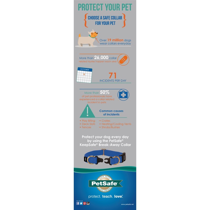 Petsafe KeepSafe Break-Away Collar, Prevent Accidents for your Dog or