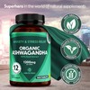 365 Tablets Ashwagandha 12:1 Extract 1200mg, 5% Withanolides Highest Concentration