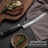 Japanese Chef Knife, 8 Inch Damascus Kitchen Knife with VG10