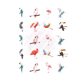 Exotic Birds Tropical - Waterslide Nail Decals