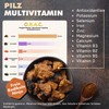 SOLVE Labs ● Premium Siberian Chaga Mushroom Capsules ● 10%