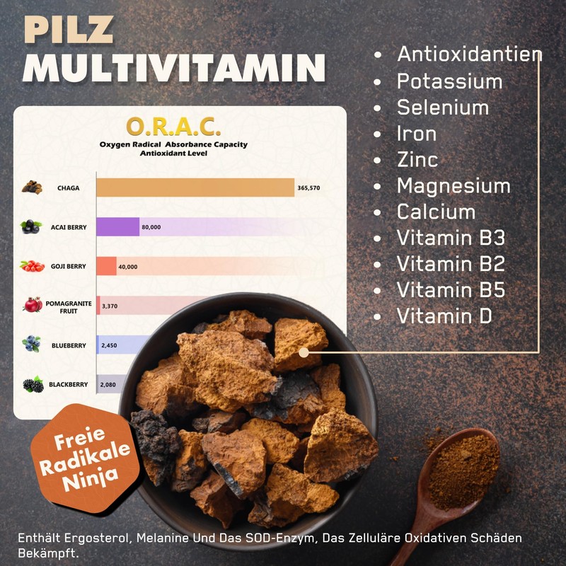 SOLVE Labs ● Premium Siberian Chaga Mushroom Capsules ● 10%