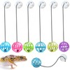 6 Pack Bearded Dragon Toy Bell Balls, Reptile Lizard Toy