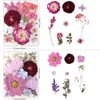 Buzidao 80Pcs Pressed Flowers, Dried Flowers Natural Pressed Flowers Bulk