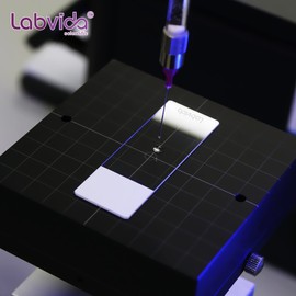 Labvida Labvida 72pcs x 20 Boxes of Pre-Cleaned White Color Frosted Microscope Slide, Dim.75mmx25mm, Super Grade Glass, Ground Edges, 45 Safety Corners, LVQ034WX