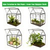 ELEGANTLIFE Glass Geometric Plant Terrarium,Succulent & Air Planter for Home