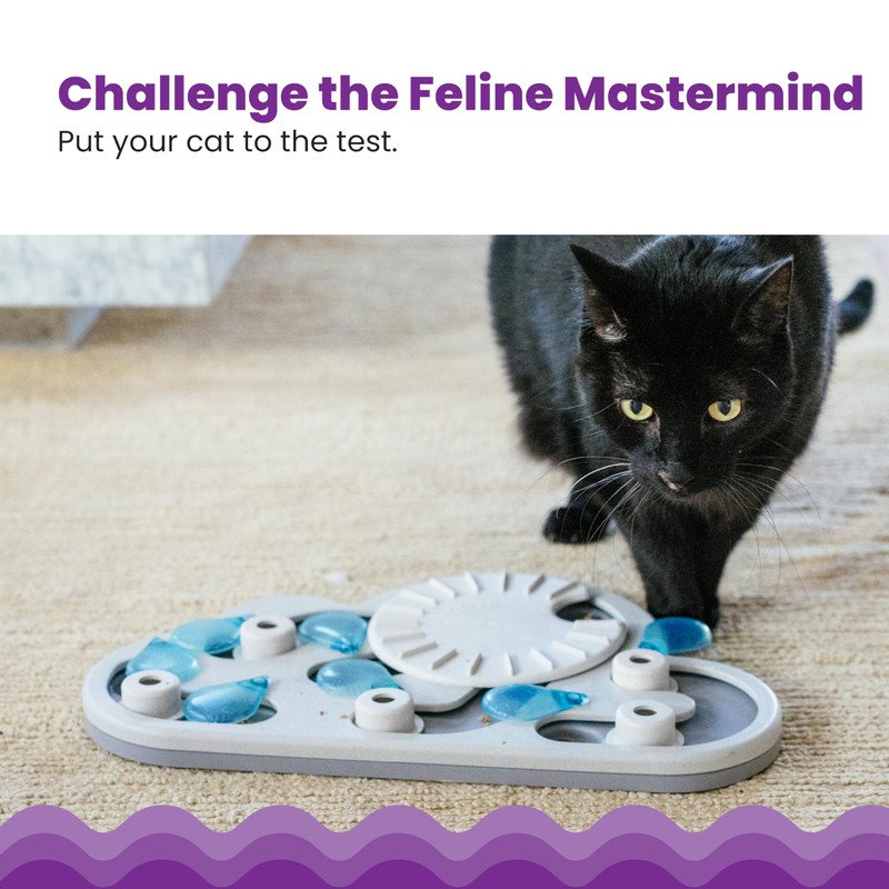 Catstages by Nina Ottosson Rainy Day Puzzle & Play Cat