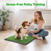 Portable Dog Grass Pad with Tray 20''x30'': Dog Litter Box