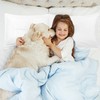 PiccoCasa Embroidered Small Size Soft Brushed Microfiber Pillowcases 2 Pack,