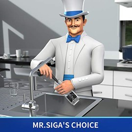 MR.SIGA Cepillo para Polvo Botella Mango Largo, Cepillo para Polvo Limpieza para Botella de Agua, cristalería, Paquete de 2