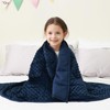 Mr. Sandman Weighted Blanket 5LBS 36 x 48 Inches, Minky