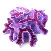 Besimple Aquarium Coral Ornaments Decor Fish Tank Plants Decoration for