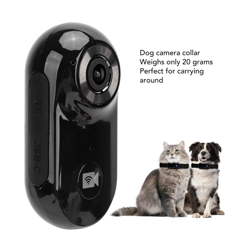 Pet Collar Camera with 8G Memory Card HD 1080P Mini
