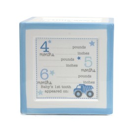 Child to Cherish New Baby Keepsake Piggy Bank, A Block to Grow On, Blue