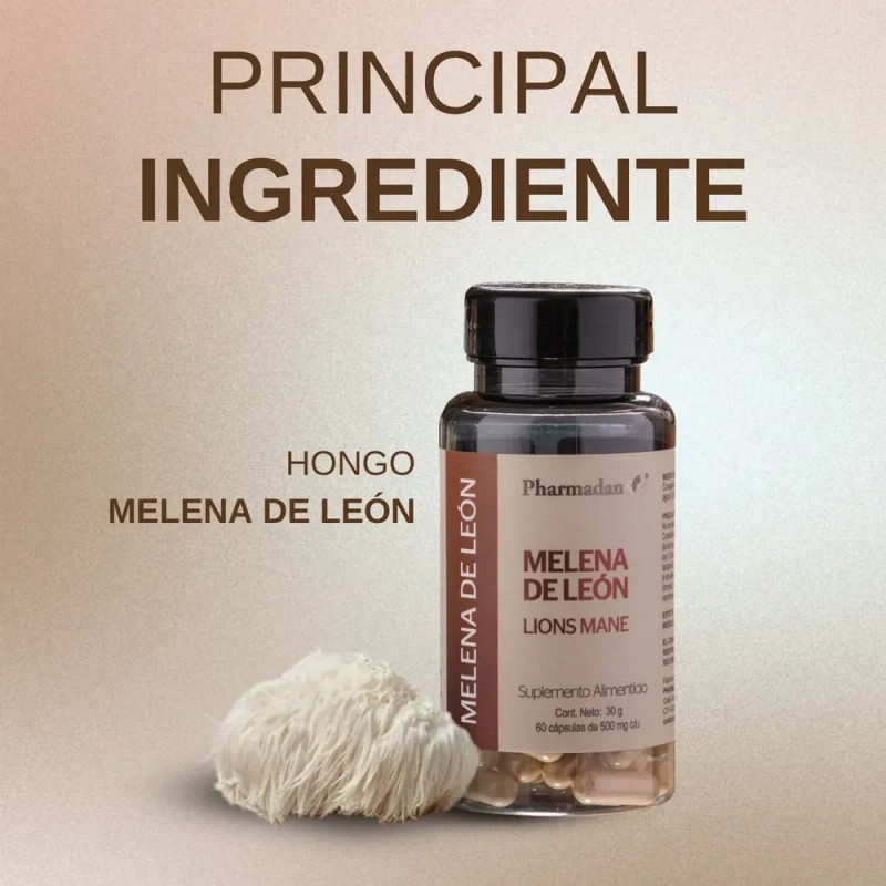 Melena De Leon Lions Mane Pharmadan 60 Caps