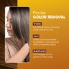 One 'n Only Colorfix Hair Color Remover Kit - Professional