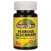 Nature's Blend Ferrous Gluconate, 5gr/324 mg, 100 Tablets | Pack