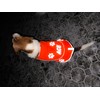 Custom Reflective Dog Vest High Visibility Reflective Jacket for Dogs