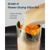 wisedry Flower Preservation Kit, Flower Drying Kit with Silica Gel