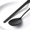 Goya titanium black cutlery set cutlery tableware chopsticks / 고야