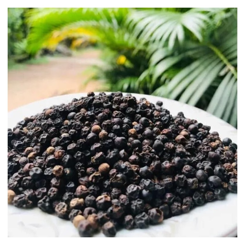 Trothic Spices Organic Black Pepper Whole Export Quality Kerala Specialty