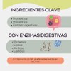 Blen Pro-GUT Cápsulas Digestivas con Probióticos, Prebióticos y Enzimas, 60