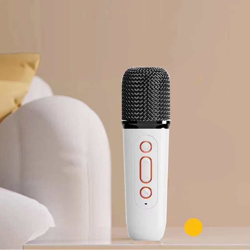 Mini Karaoke Machine Karaoke Speaker with Wireless Microphone Light Effects